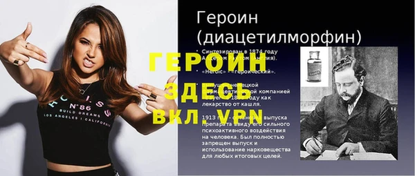 индика Дмитриев