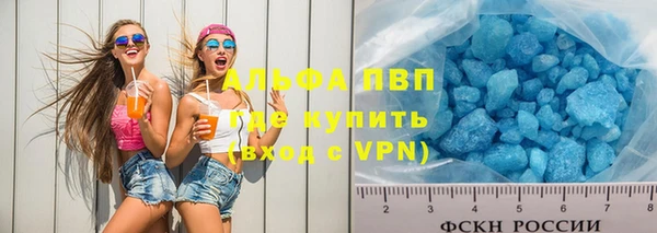 индика Дмитриев
