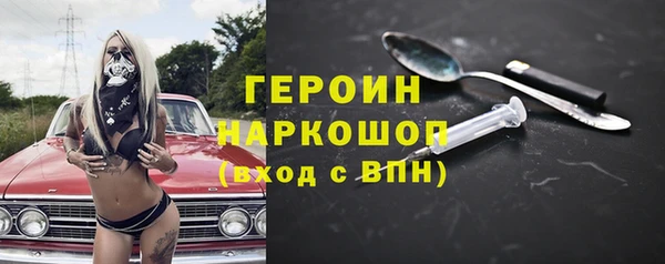 индика Дмитриев