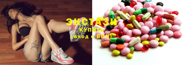 индика Дмитриев