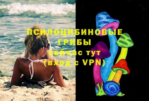 индика Дмитриев