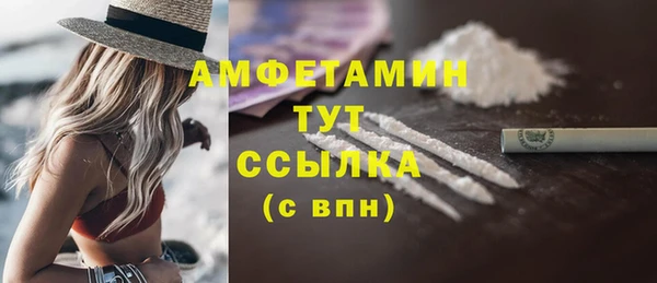 индика Дмитриев