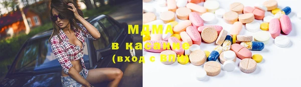индика Дмитриев