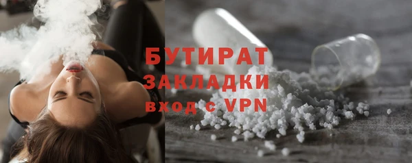 индика Дмитриев