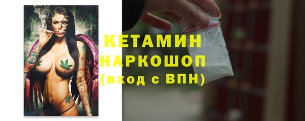 индика Дмитриев