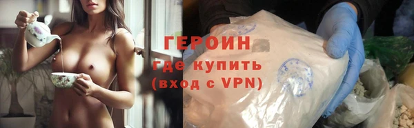 индика Дмитриев