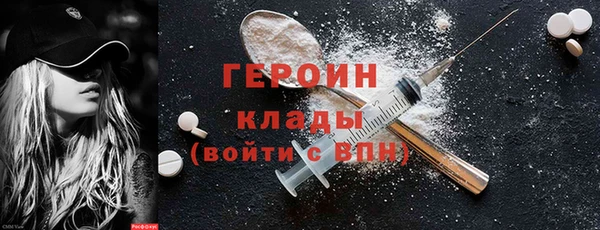 индика Дмитриев
