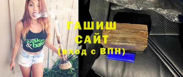 индика Дмитриев