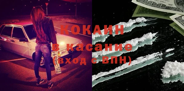 индика Дмитриев
