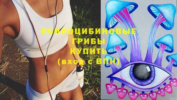 индика Дмитриев