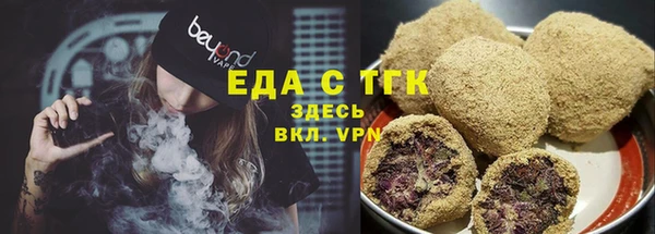 индика Дмитриев