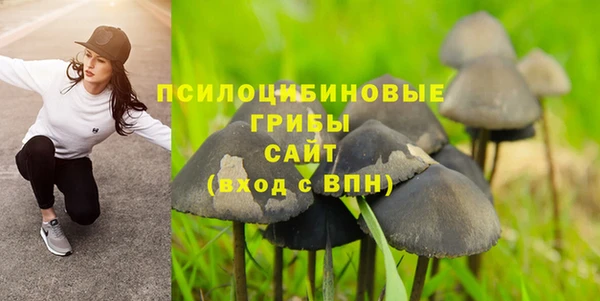 индика Дмитриев