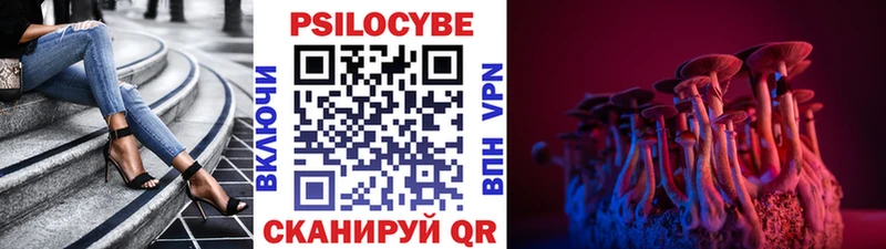 Купить закладки  Киренск  Галлюциногенные грибы GOLDEN TEACHER 