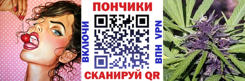 Купить закладки  Киренск  Марихуана сатива 